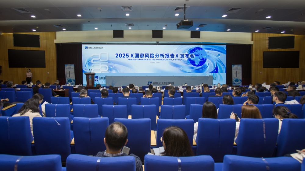 中國信保舉辦2025年《國家風險分析報告》發布會